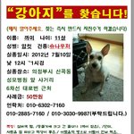 한번만 봐주세요.. 우리 까미좀 찾아주세요..부탁드립니다..