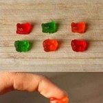 [입양홍보] 잔인한 <b>젤리</b>를 가진 냥이에요!