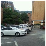 냥의 가족의 <b>도심</b> 피서법 ㅋㅋㅋ