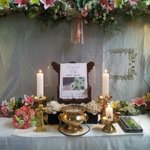 동물병원이나 강아지 치료에 대해 잘 아시는분 없나요?