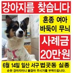 애타게 찾고있습니다.