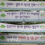 <b>열매</b> 따먹으면 안돼