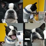 <b>요일</b>별직장인들의 표정