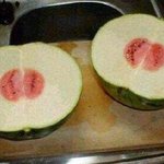 환불해 주실꺼죠???(미리 중복 <b>지송</b>)