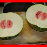 <b>수박</b>을 샀는데 사기당했어요..