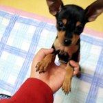 (사진有)까만라인이 섹시한 그대이름은 용:>