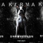 다크나이트라이즈 <b>패러디</b>