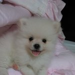 인형같은 우리 일등이 사진 <b>투척</b>!