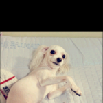 @@@도와주세요@@@