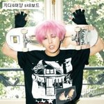 <b>취미</b> 생활 인증한 연예인들