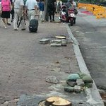 <b>용산역</b>앞 처참한 은행나무