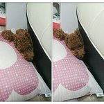 고양이 창고에 갇혀 가슴아팠던 <b>사연</b>...