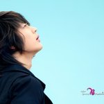 짤<b>풀이</b>
