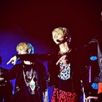 <b>샤월</b>이 많네요