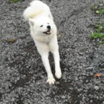 홍콩양~  신랑감 구해요...