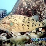 ★★★<b>가평</b> 화악산계곡★★★