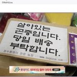 만원.. 날라감....ㅠ
