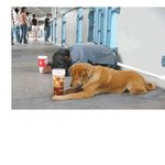 주인님을 위해서라면 이<b>정도쯤</b>...