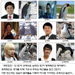 ★무한도전 <b>펭귄</b> 패러디~ 정준하가 제일 어울려~~ㅋㅋ