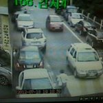 (<b>cctv</b>사진有) 저희 강아지 훔쳐간 놈 차량 번호 좀 봐주세요ㅠㅠㅠㅠㅠ