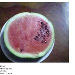 <b>수박</b>때문에 맞은사연.....ㅠ