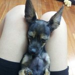 ★★★제발 톡되게 도와주세요★★(가산디지털단지쪽에서 근무하시는 분들...