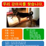 우리 까까를 찾습니다..