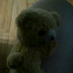 ★★★★★에버랜드의 그분을 찾아요!!!!★★★★★