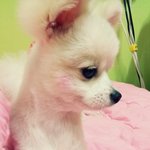 @ 세종<b>대왕</b>의 한글사랑~ [17탄!!!]