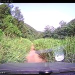 <b>내비</b>가 알려주는대로 갔더니.....ㅜㅜ