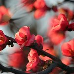 [bgm] 힘들고 지칠때 격려와 위로가 되는 말들 . <b>txt</b>