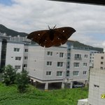 (<b>신종</b> 괴물벌래 등장)  곱등이의 뒤를 이음