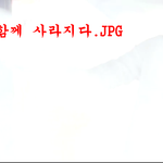 밤11시이후에만든 좀따끈한비포엽사