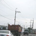★ 보신탕 제주도 ?? <b>서명</b>에 참여해주세요 부탁드립니다!!