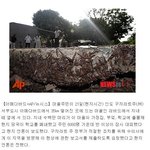 <b>지네</b>의 습격
