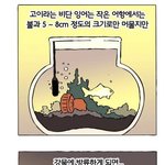 남자가 <b>사각</b>팬티를 입어야 하는 이유?