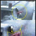 노무현대통령 '피' 묻은 손