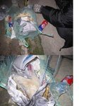 ★★ >>사진有 쓰레기<b>봉지</b>에 버려진 강아지<<★★