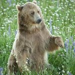 동물좋아하는사람 봐요 엄청많음2(중복없음