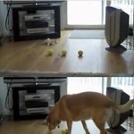 은터사 ㅋㅋㅋㅋㅋㅋㅋㅋㅋㅋㅋㅋㅋㅋㅋ2