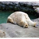 대세는 웰빙! 사람들이 무지방 우유를 찾는 이유는?