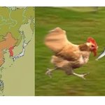 <b>한중</b>일 하나로 표현