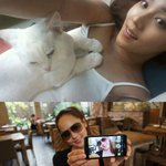 ★유진 키우는 고양이가 <b>앞발</b>로 가슴을 엉큼캣 셀카~~