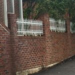 [3편]사람인지 개인지 헷갈리는 똥꼬발랄우리집멍멍2들을 소개합니당:-)