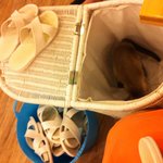 2탄●○●홍대고양이카페 알바생이쓰는 31마리고양이 이야기(사진 多多...