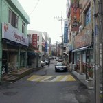 애견샵과 마주한 보신탕집
