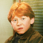 ★팬카페채팅방 마냥 놀고자빠진 엑소팬들아