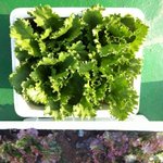 깨알돋는 나의 신혼이야기 1