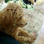 우리 봉구봉구 <b>보로</b>보로보로보봉구