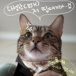 (스압!) 시베리안 <b>야생</b> 삵묘 김골뱅입니다!!